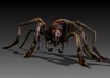 Spider_tga_jpgcopy