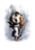 ryu