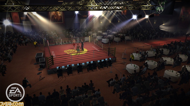 EA SPORTS MMA NG Intl Venues 2