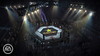 EA SPORTS MMA NG Intl Venues 4