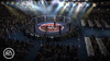 EA SPORTS MMA NG Intl Venues 5
