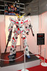 anime23