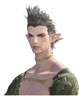 [elezen]forester_m_bust