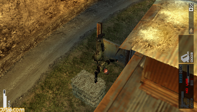 AC_corrobo_eagle_dive_�A��_11