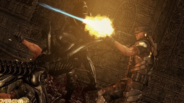 Aliens_vs._Predator-Xbox_360Screenshots19958MP_demo_3