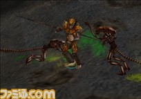 image_48