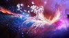 COE-E3-Evolution02_NoLogo