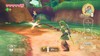 RVL_ZeldaSS_05ss05_E3