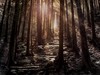RVL_SamuraiW3_06bg03_E3