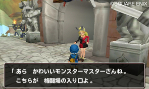 dqmt3d111222/003.jpg