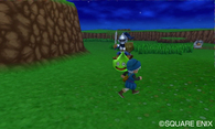 dqmt3d111222/014.jpg