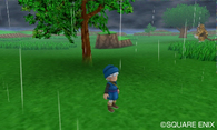 dqmt3d111222/015.jpg
