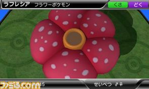 ラフレシア.jpg