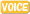 voice