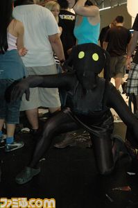 DSC_2428
