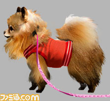 pomeranian_fix