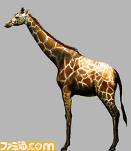 giraffe_fix