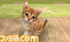 nintendogs_catup