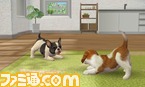 nintendogs_play