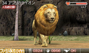 animal04