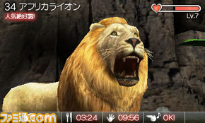 animal06