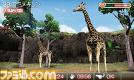 animal02
