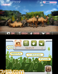 animal01