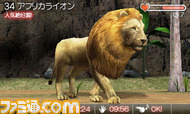 animal03