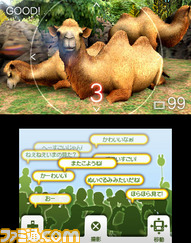 animal12