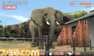 animal08