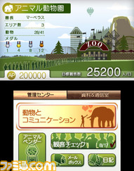 animal11