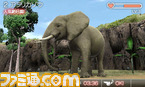 animal09