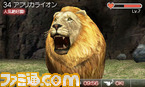 animal07