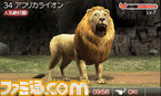 animal05