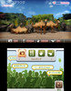 animal01