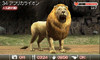 animal05