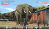animal08