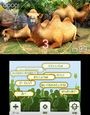 animaltop