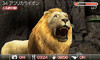 animal06
