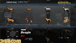 animal_select