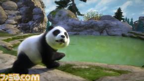 Panda Fishing