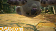KoalaBearLeaveCamera2