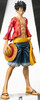 BNG_luffy_front WEB