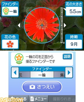 J磅硅