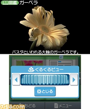 r矗