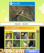3DS_Zukan_scrn08_2011Ev