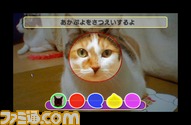 3DS