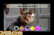 3DS