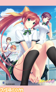 kimiita_t