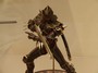 WONDERFUL HOBBY LIFE FOR YOU!! 8